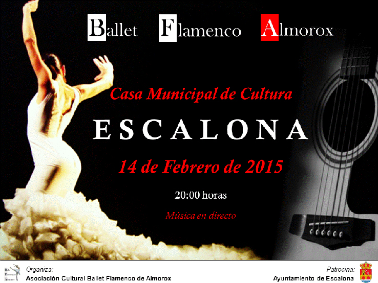 Ballet Flamenco